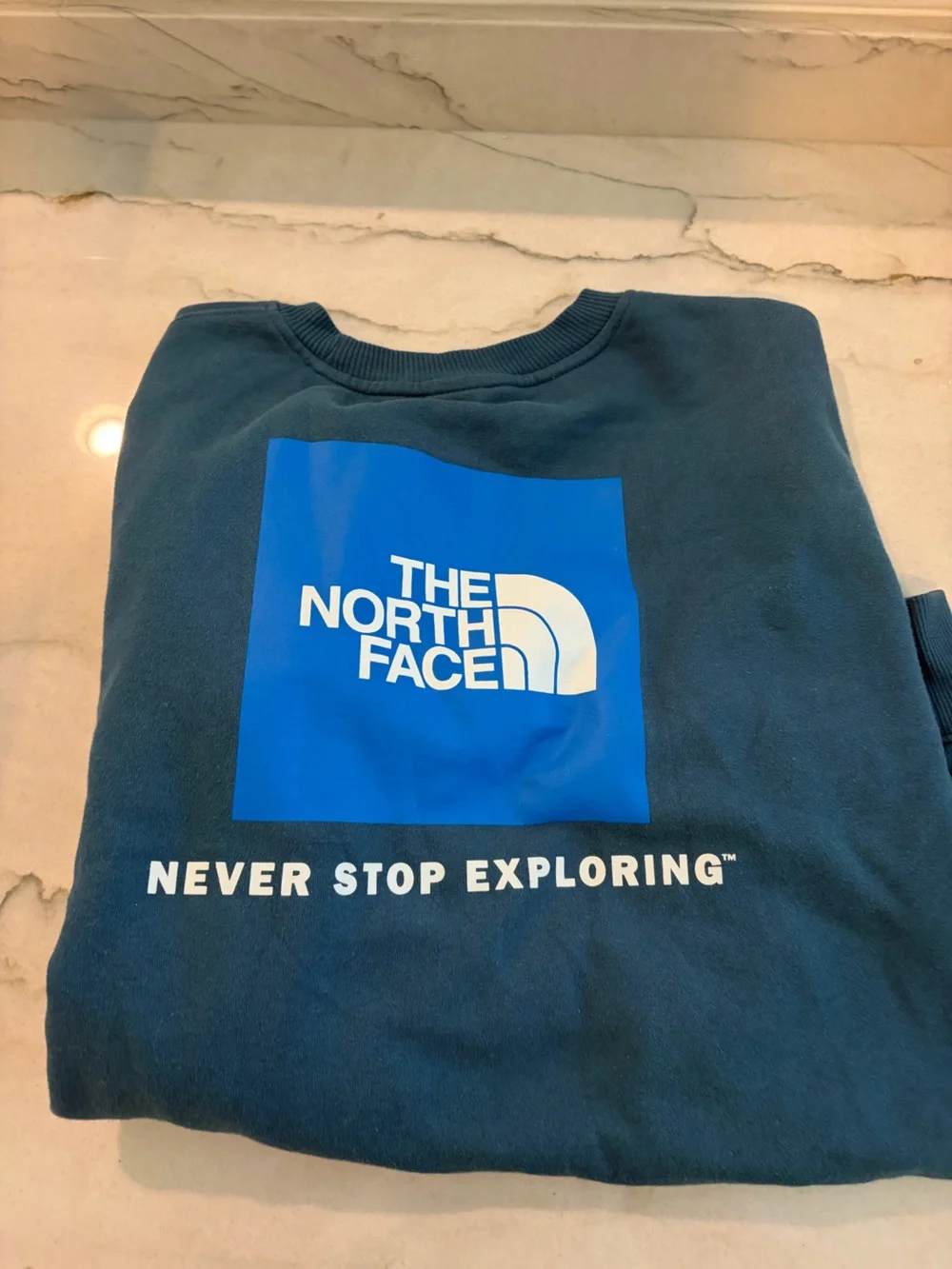 The North Face Teal Blue Logo Crewneck Sweatshirt